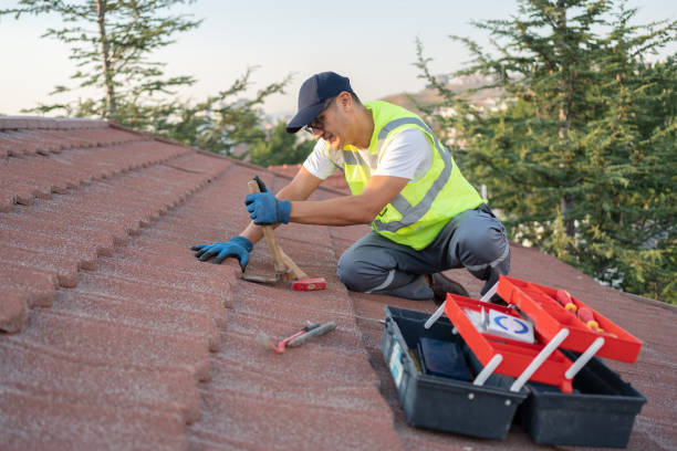 Best Roof Gutter Cleaning  in Spiro, OK